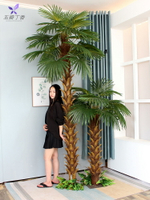 假樹仿真棕櫚樹大型室內裝飾熱帶造景植物落地綠植假椰子樹扇葵樹