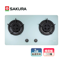 【SAKURA 櫻花】二口小面板易清檯面爐(G2522GW-NG1/LPG基本安裝)