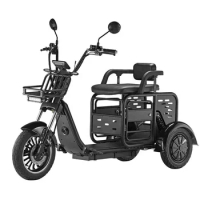 New Design Scooter Dog Cat Motorcycle 1000w 48v Family Multi-mode 3 Wheel Electric Tricycle