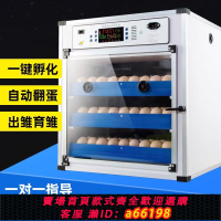 【台灣公司 可開發票】孵化器中大型孵化機全自動小雞孵化箱家用孵蛋器孵蛋機孵小雞機器