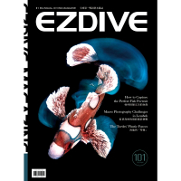 【MyBook】EZDIVE 雙語潛水雜誌第101期(電子雜誌)