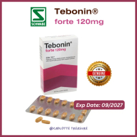 Tebonin forte tab 120mg_patented Ginkgo Biloba Extract 30s for Blood Circulation, Tinnitus, Vertigo 