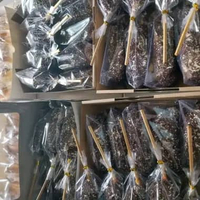 Donat labu paha ayam donat paha ayam labu krim jadul - keju