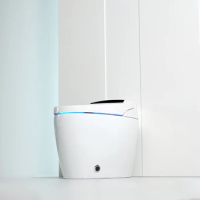Modern 110V/220V Electric Bathroom Toilet Water Closet Automatic Flush Wc Intelligent Toilet Bathroom Smart Toilet
