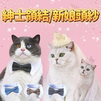『台灣x現貨秒出』紳士領結/新娘頭紗 寵物裝扮 寵物項圈 貓咪項圈 貓項圈 寵物頸部裝飾