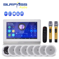 Powered WIFI Audio Bluetooth Stereo Wall Amplifier Background Music Karaoke Wireless Microphone Home Theater KTV AUX IN FM Radio