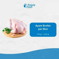 Ayam Broiler Premium per ekor Ayam karkas broiler 1.2 - 1.3