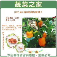 【蔬菜之家】G82.橘辛橘鬼椒(魔鬼椒)種子(共有2種包裝可選)