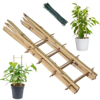 Garden Small Plants Bamboo Square Trellis 6 Pack Climbing Natural Bamboo Trellis Plant Support Trellis Garden Trellis Support