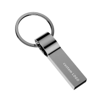 Bộ điều khiển tia sáng USB tốc độ cao bán buôn từ nhà máy, bộ nhớ USB cho máy tính 1GB/2GB/4GB, USB 