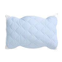 涼感枕頭保潔墊 1入(枕套 枕巾 枕頭墊 枕頭墊 枕頭套)