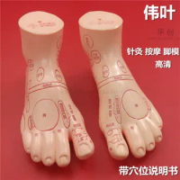 A pair foot model foot reflex zone model foot acupuncture model Chinese with instructions