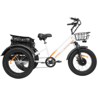 Factory directly Family used adult Large cargo tricycle for shopping / adult tricycle three wheels cargo trike