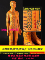 中醫學生教學經絡針灸穴位人形人體模型可扎針十二全身圖高清銅人