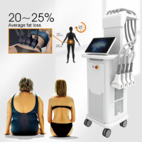 Weight Loss Fat Removal Medical Ce 1060nm Diode Laser Slimming Laser Device