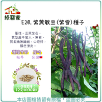 【綠藝家】E20.紫莢敏豆(紫雪)種子12克(約30顆)