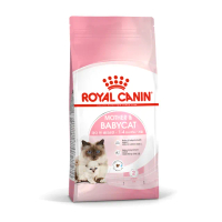 【ROYAL 法國皇家】離乳貓專用飼料 BC34 2KG(貓乾糧)