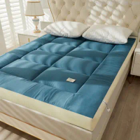 Winter Warm Soybean Fiber Mattress Foldable Single Double Bed Mattress King Size Queen Size Full-Size Bedding Sheet