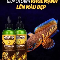 Vitamin Cho Cá Cảnh AQUA CARE – Giúp Cá Lên Màu Đẹp, Giảm Stress, Phục Hồi Nhanh – Chai 100ml