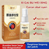 [READY STOCK] APGAR Lutut Gel Pereda Saki jinsheng 30ml 60g Tipe lutut Tekanan Dingin Spray Lumbar S