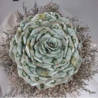 [Paldi Florist] Buket Uang Dolar Palsu bentuk bunga, Cocok Untuk dekorasi, Hadiah, Kado, di semua ac