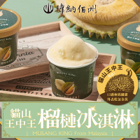(任選)瑋納佰洲-D197貓山王榴槤冰淇淋1杯(80克/杯)