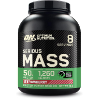 Optimum Nutrition Serious Mass Weight Gainer Protein Powder Mass Gainer Vitamin C and Zinc for Immun