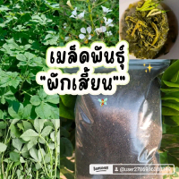 เมล็ดพันธุ์ผักเสี้ยน1กิโลกรัม899บาท