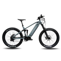 2023 Hot Sale OEM 1000W Bafang High Quality Mid Drive Ebike Full Suspension Electric Mountain Bike Mid Drive