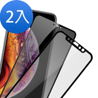2入 iPhone X XS保護貼滿版鋼化膜手機9H保護貼 霧面 防窺  iPhoneX保護貼 iPhoneXS保護貼
