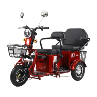 48v 60v Electric Tricycles Leisure Three-wheeler Mini Detachable Battery ElectricMotorcycle Scooter Adult Elderly Scooter custom