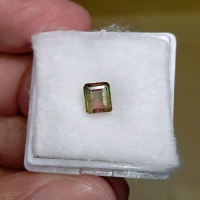 Batu permata natural watermelon tourmaline + Memo GLI