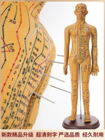 針灸穴位人體模型可扎針經絡全身圖小銅人模特大真人十二銅人練習