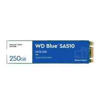 【WD 威騰】藍標 SA510 250GB M.2 2280 SATA SSD(讀：550MB/s 寫：525MB/s)