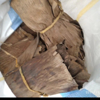 daun pisang kering jangkrik