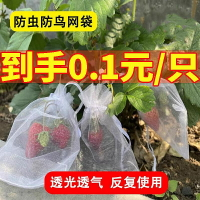 【新店促銷】水果保護袋草莓防鳥網眼袋西紅柿番茄葡萄專用網套袋網眼袋子