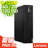 Lenovo ThinkCentre M70s (i5-12500/16G/2TB+512G SSD/P620 2G/W11P)