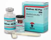 Medivac AE POX dosis 1000 ekor - Pre-Order (Vaksin hanya untuk unggas) Stero Food