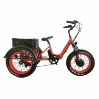 500w E Trike Cargo Electric Bicycle Electric Tricycles Bike 3 Wheels