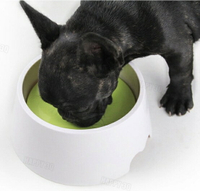 狗狗喝水碗升降水碗貓喝水碗不濕嘴寵物水碗防塵防打翻狗狗飲水器【AAA3944】