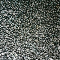 batu koral hitam - batu ampar