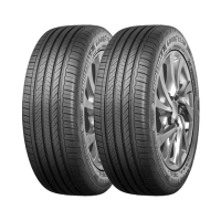 【GOODYEAR 固特異】ASSURANCE TRIPLEMAX 2 溼地操控性能輪胎_二入組_205/60/16(車麗屋)
