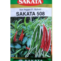 benih cili sakata 508 F1 HYBRID