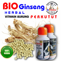 JAMU PERKUTUT JAGO MANGGUNG