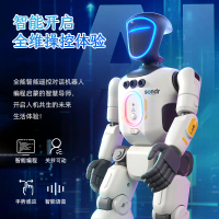 Cross-border exclusive gesture sensing remote control AI intelligent robot, children's toy, programm