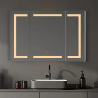 Modern Bathroom Mirror Cabinet Stainless Steel Wall-Mounted Medicine Cabinet With Smart Mirror And Eco-Friendly Feature