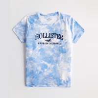 Hollister 海鷗 HCO 熱銷刺繡文字海鷗圖案短袖T恤(女)-渲染藍白色
