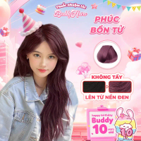 Thuốc nhuộm tóc màu PHÚC BỒN TỬ, ĐỎ ÁNH TÍM thuốc nhuộm tóc không cần tẩy, kem nhuộm tóc tại nhà Bud