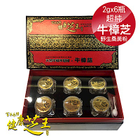 (6入禮盒組) 百年永續健康芝王 超純牛樟芝野生桑黃粉末禮盒 2g x6瓶