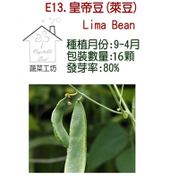 【蔬菜工坊】E13.皇帝豆種子(萊豆)